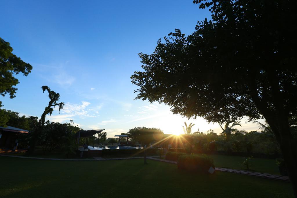 Eco Hotel Black & White - Anuradhapura มิฮินตาเล ภายนอก รูปภาพ