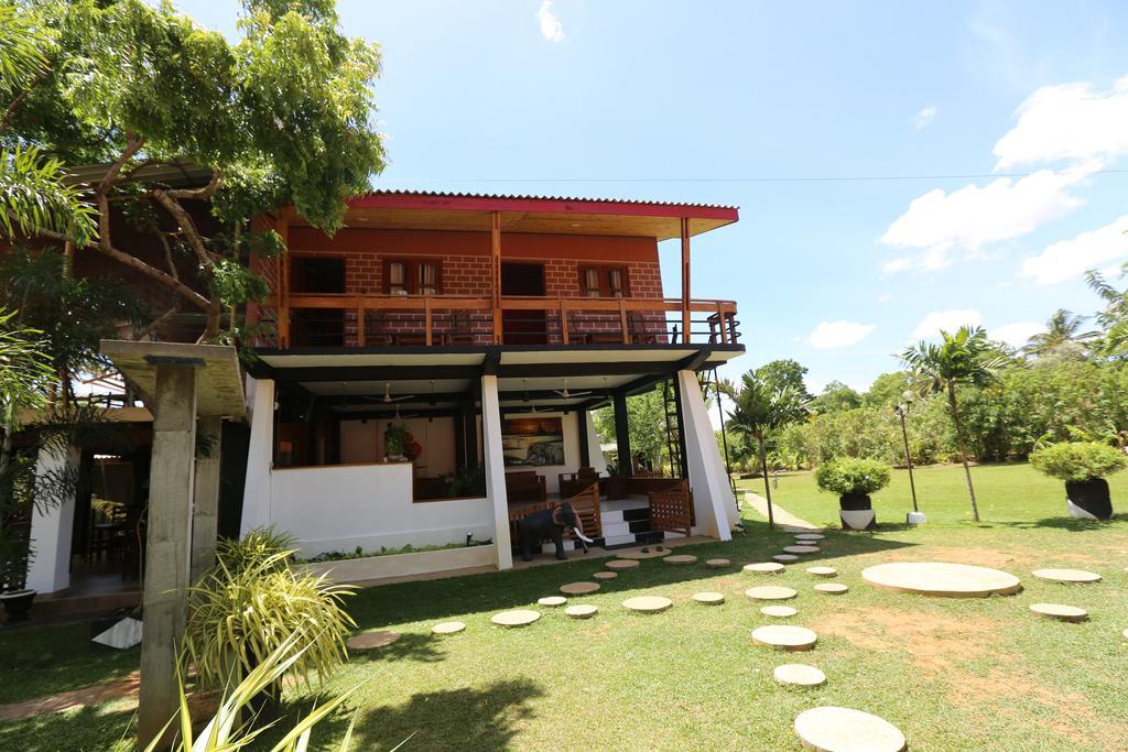 Eco Hotel Black & White - Anuradhapura มิฮินตาเล ภายนอก รูปภาพ