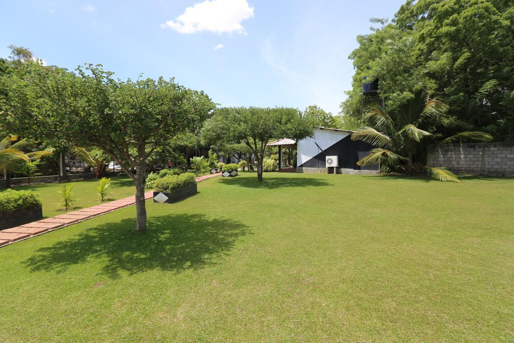 Eco Hotel Black & White - Anuradhapura มิฮินตาเล ภายนอก รูปภาพ