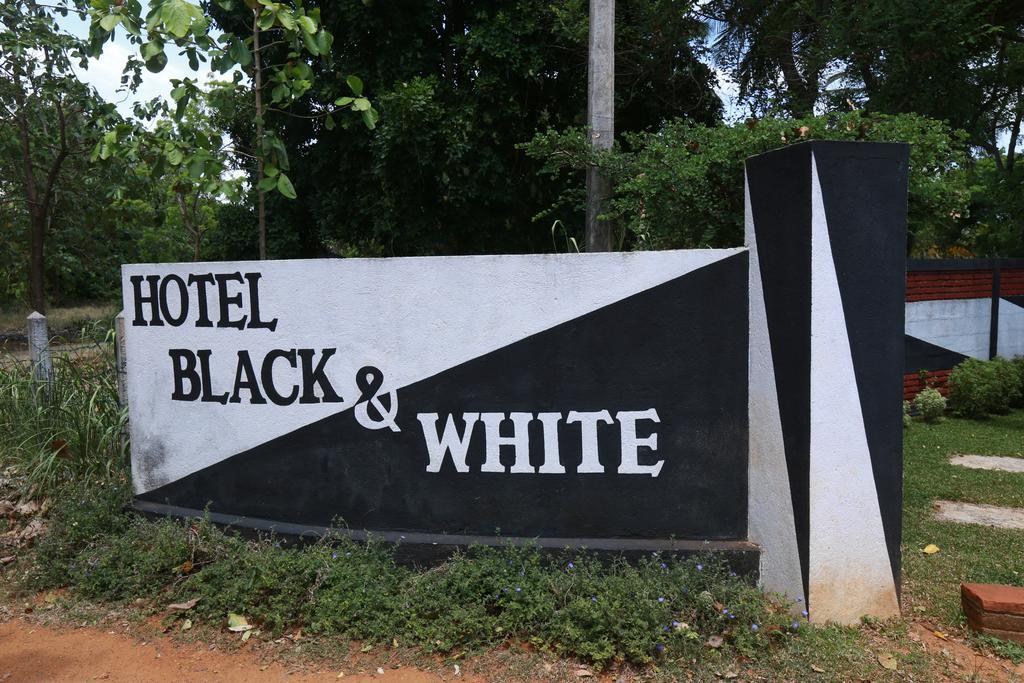 Eco Hotel Black & White - Anuradhapura มิฮินตาเล ภายนอก รูปภาพ