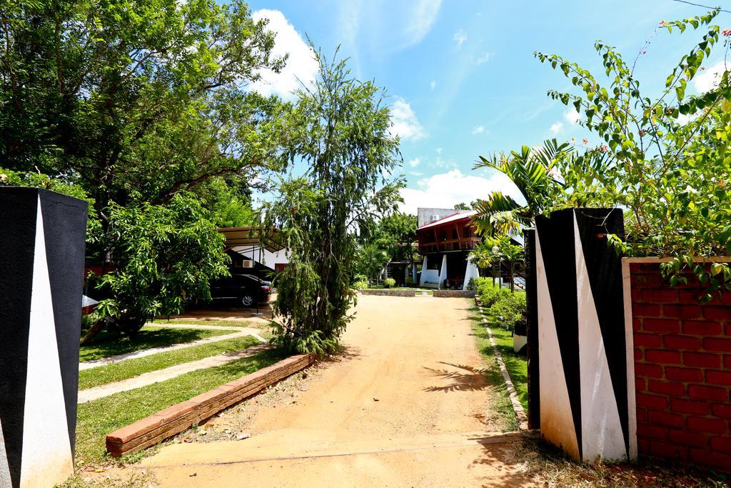 Eco Hotel Black & White - Anuradhapura มิฮินตาเล ภายนอก รูปภาพ