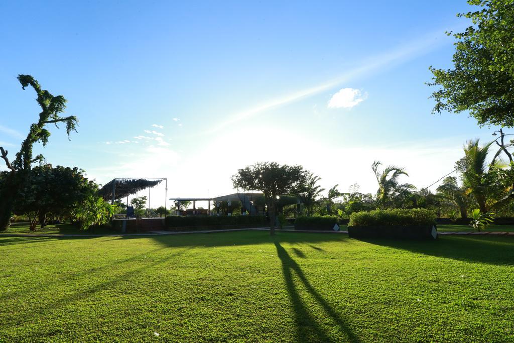 Eco Hotel Black & White - Anuradhapura มิฮินตาเล ภายนอก รูปภาพ