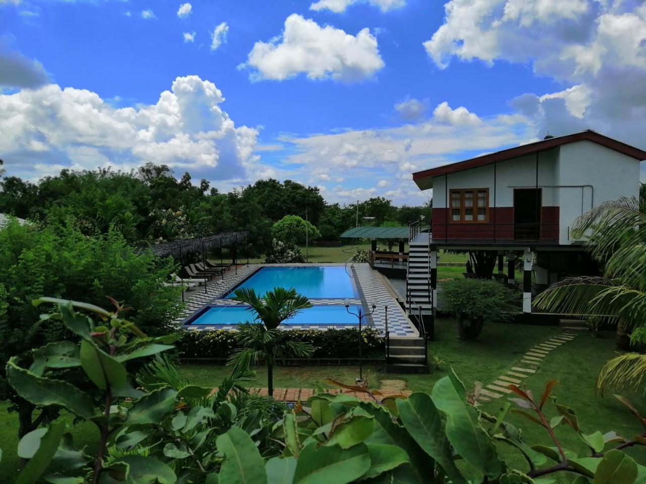 Eco Hotel Black & White - Anuradhapura มิฮินตาเล ภายนอก รูปภาพ
